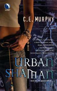 Book cover: Urban Shaman