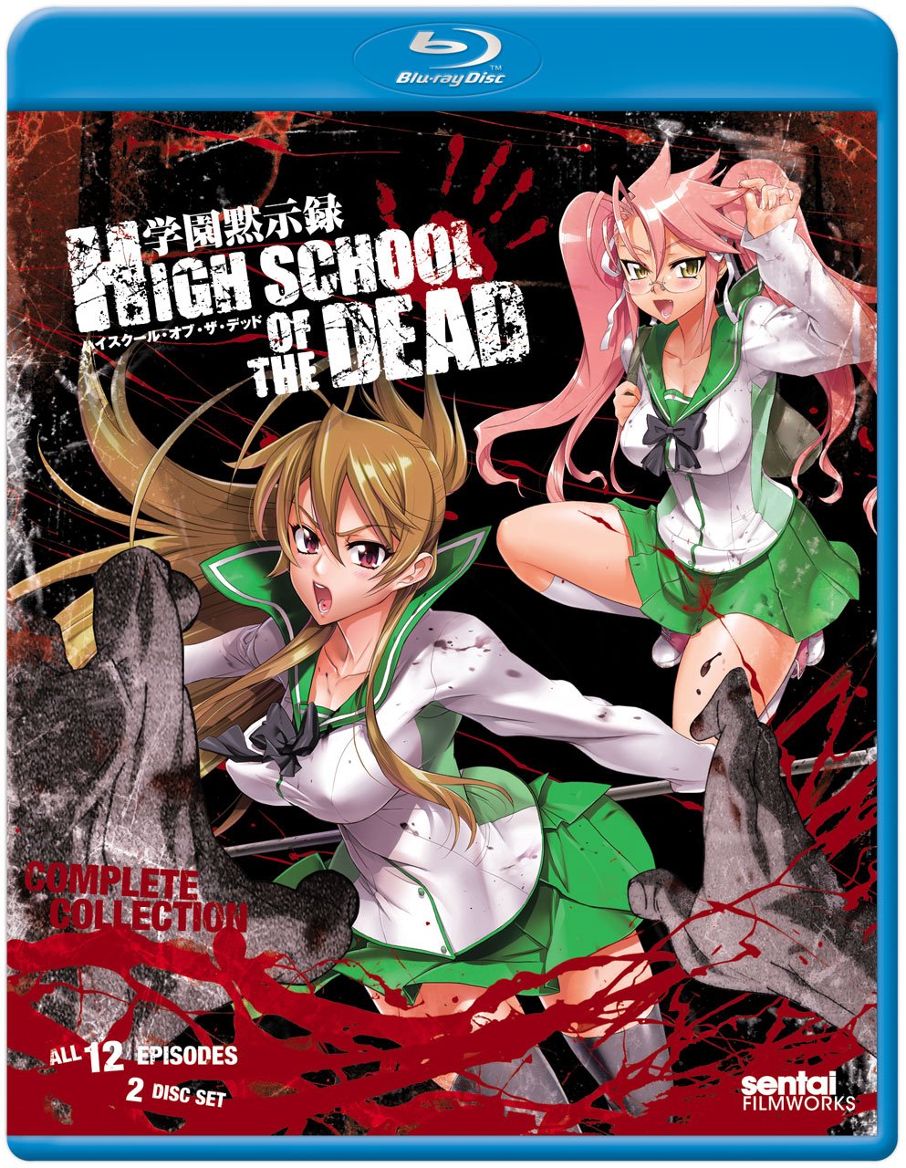Anime cover: Highschool of the Dead