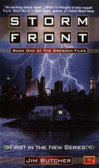 Book cover: Storm Front