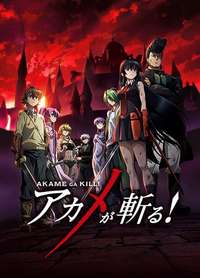 Akame ga Kill! Anime Cover